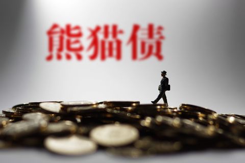 潘功胜“推销”中国债：收益高风险低