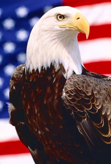 美国发布明确降息信号！大盘回暖，金价上升 | 分析