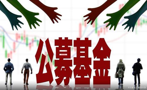 股市大涨，公募基金热销