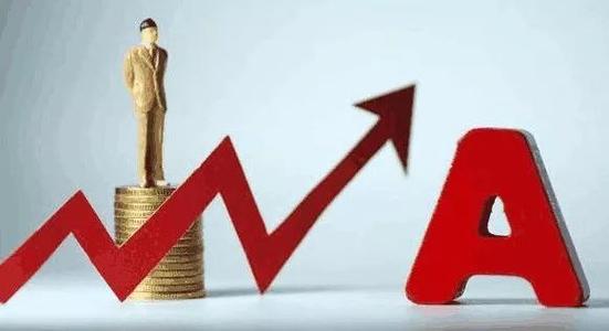 金信基金“失信”：风控漏洞高企