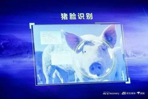 紧抓机会!未来翻10倍的股票在这些行业（附福利）
