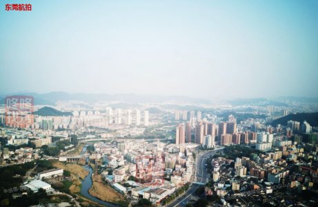 东莞楼市供应维稳 松湖碧桂园天钻占3成