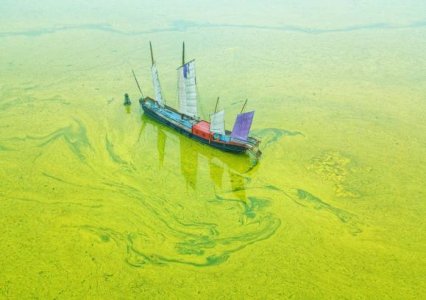 德林海IPO闯关：预计市值不低于10亿元  太湖、洱海等蓝藻治理为主要营收