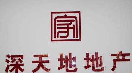 深天地A实控人林凯旋因重大违法行为被判刑罚20万元