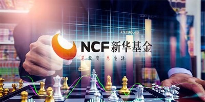 副总三去其二，公募排名下滑20位，新华基金张宗友时代的困境