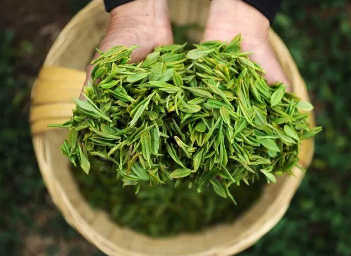 中隆福老师