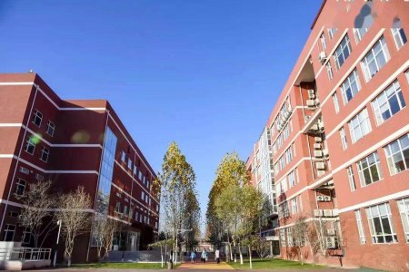 北京新东方国际双语学校校园服务“组合拳” 安全健康是关键