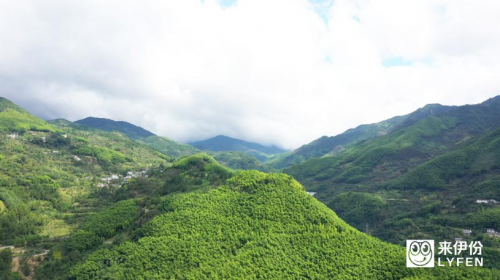 百年好“核”，味觉鲜享，来伊份溯源美味走进浙西大峡谷
